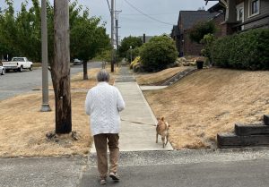 Ah, that morning walk with the family dog!